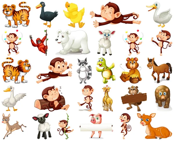 Conjunto Animal Desenho Animado Personagem Ilustração — Vetor de Stock