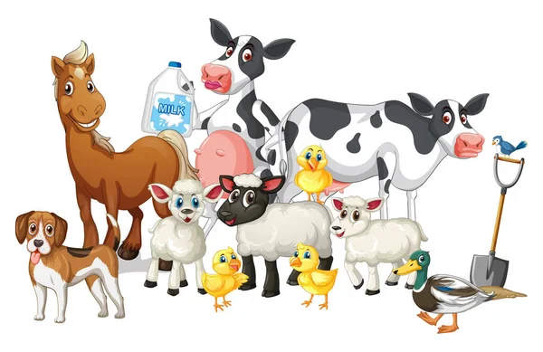 Animais Fazenda Fundo Branco Ilustração —  Vetores de Stock