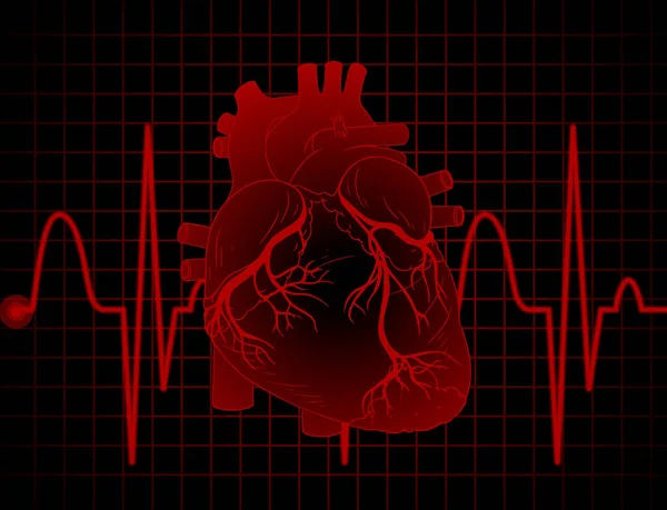 Heartbeat Heart Rate Graph Illustration — Stockvektor