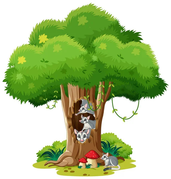 Sugar Gliders Living Hollow Tree Illustration — Stockový vektor