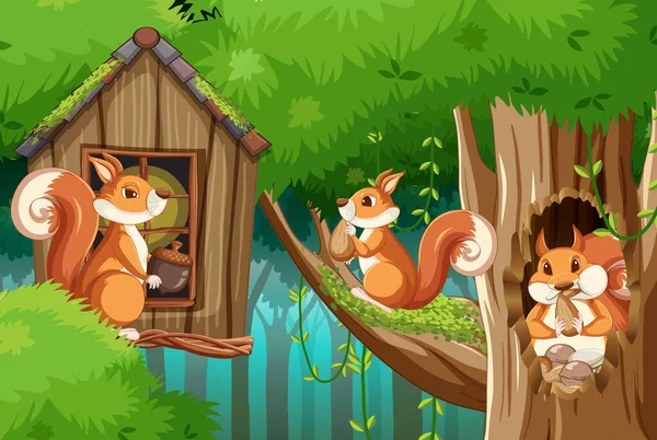 Scene Squirrels Forest Illustration — Stock Vector