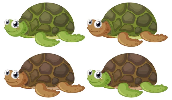 白背景图片中可爱的乌龟卡通人物 — 图库矢量图片