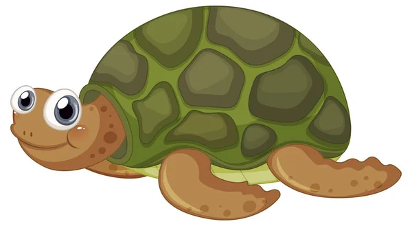 Schattige Schildpad Cartoon Karakter Witte Achtergrond Illustratie — Stockvector