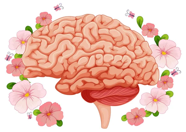 Human Brain Pink Flowers Illustration — Stockvector