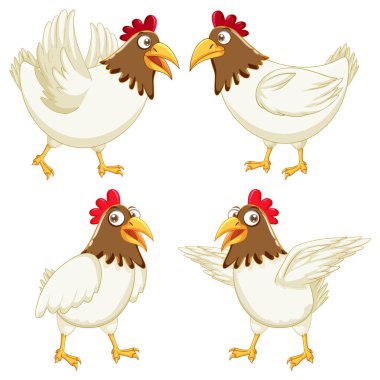 Chicken cartoon characters set illustration