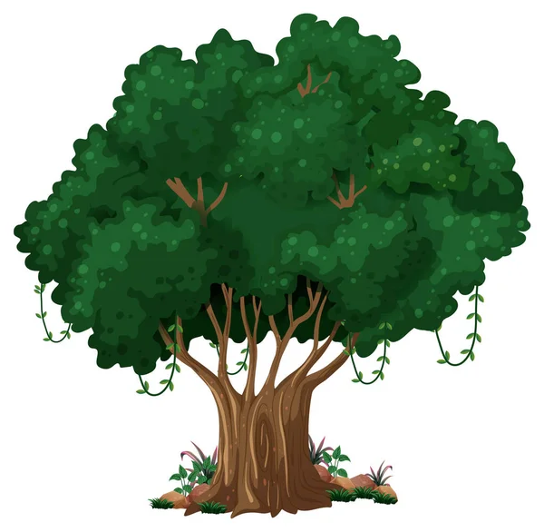 Illustration Dessin Animé Isolé Grand Arbre — Image vectorielle