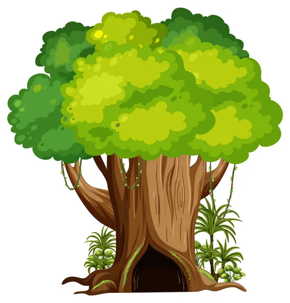 Großer Baum Isolierte Zeichentrickillustration — Stockvektor