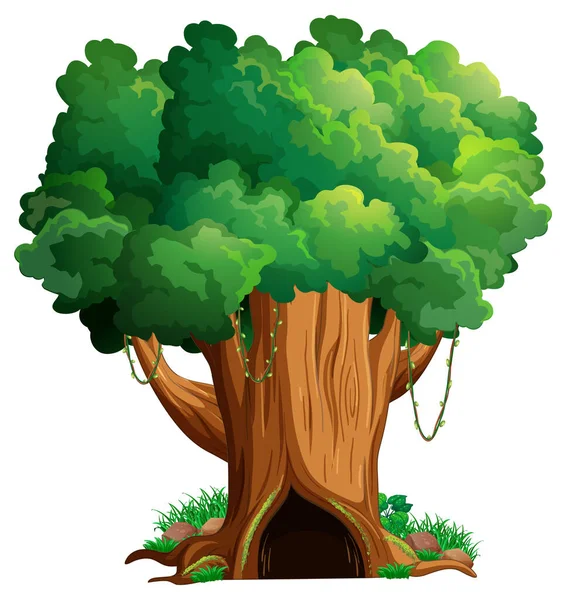 Big Tree Isolated Cartoon Illustration — Stock Vector