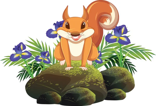 Cute Squirrel Sitting Rock Illustration — Stock Vector