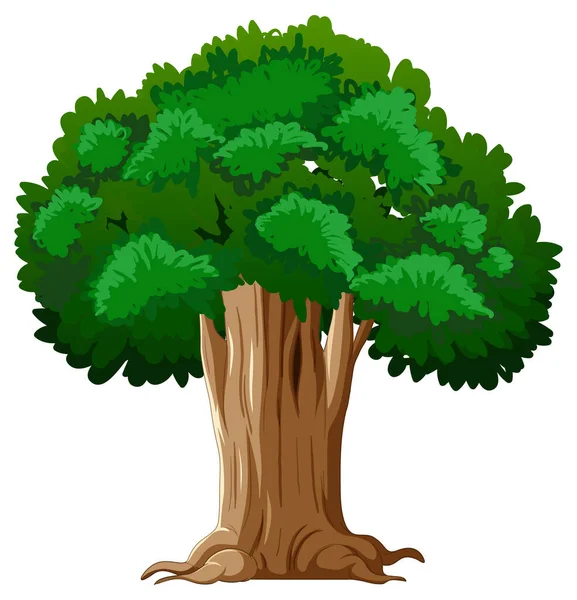 Большая Изолированная Карикатура Дерево — стоковый вектор