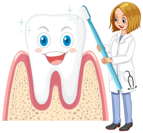 Стоматолог Чистить Зуб Зубною Щіткою Білому Тлі Ілюстрація — стоковий вектор