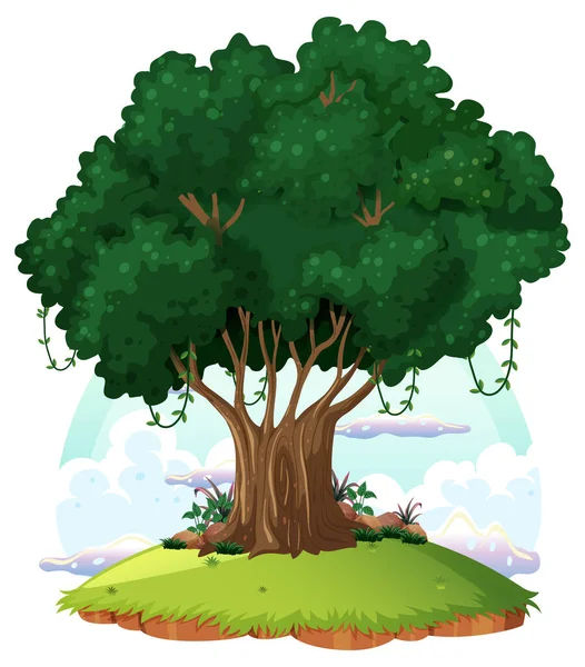 Illustration Dessin Animé Isolé Grand Arbre — Image vectorielle