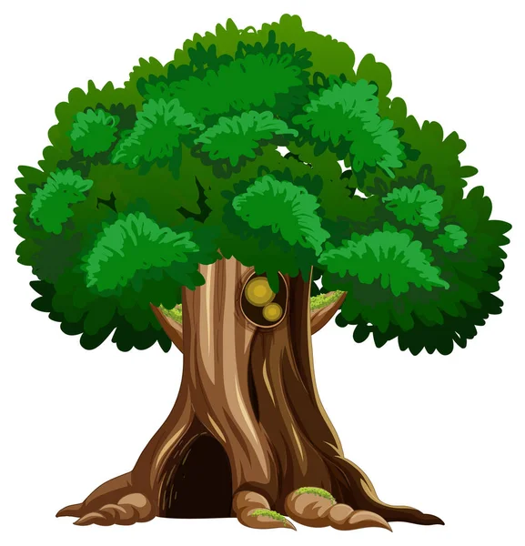 Velký Strom Izolované Kreslené Ilustrace — Stockový vektor