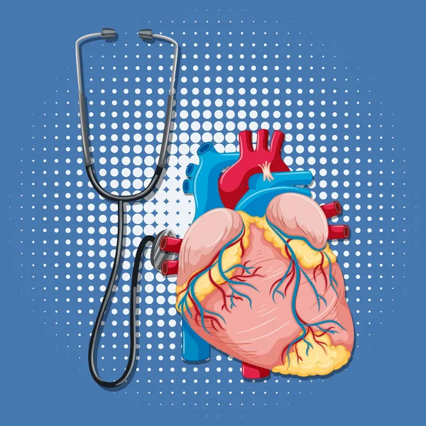 Lidský Vnitřní Orgán Ilustrací Srdce — Stockový vektor