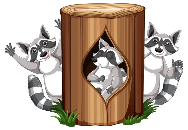 Three Raccoons Garden Illustration — Stock Vector