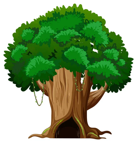 Großer Baum Isolierte Zeichentrickillustration — Stockvektor