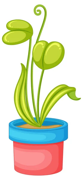 Plant Pot Cartoon Illustration — Wektor stockowy