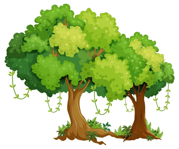 Illustration Dessin Animé Isolé Grand Arbre — Image vectorielle