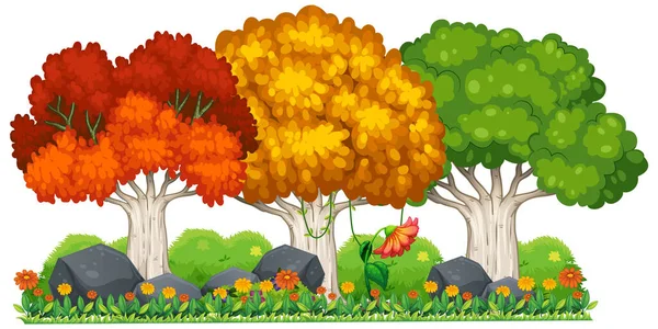 Different Trees Different Seasons Illustration — Stock Vector
