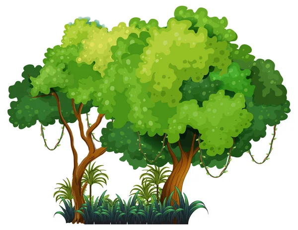 Árvore Grande Isolado Desenho Animado Ilustração —  Vetores de Stock