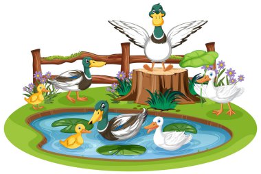 Duck family in pond illustration