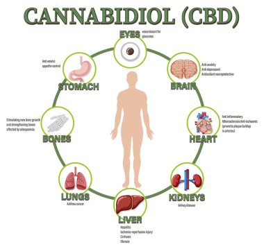 Benefits of CBD for physical health diagram illustration
