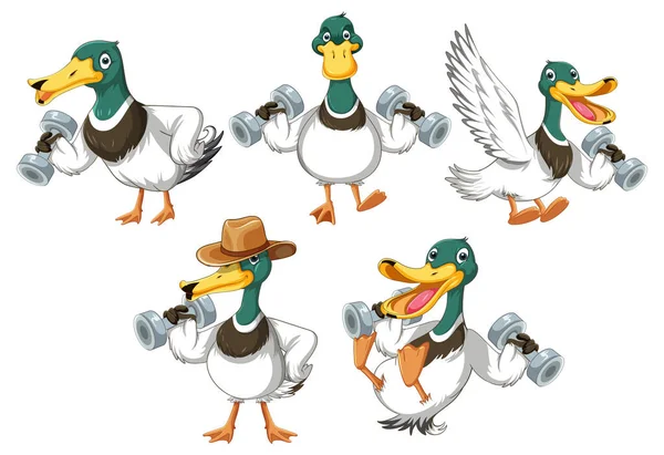Set Duckling Doing Different Activities Illustration — Archivo Imágenes Vectoriales
