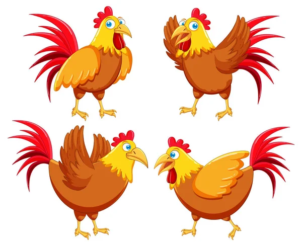 Chicken Cartoon Characters Set Illustration — Stockový vektor