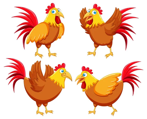 Chicken Cartoon Characters Set Illustration — Stok Vektör