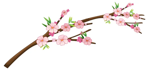 Cherry Blossom Branch Isolated Illustration — Vetor de Stock