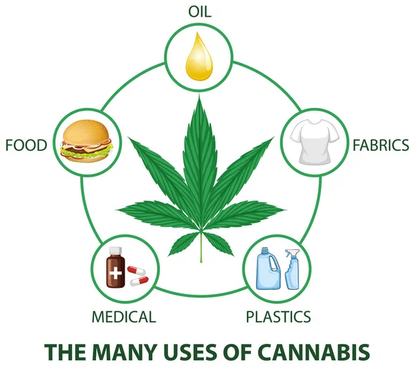The many uses of cannabis diagram illustration