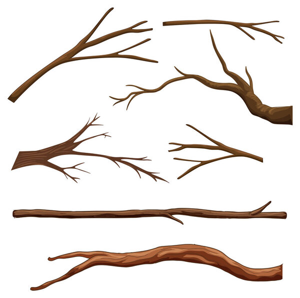 Set of different tree branches isolated illustration