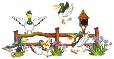 Wild ducks group cartoon illustration