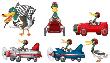 Soap box derby race with duck cartoon character illustration
