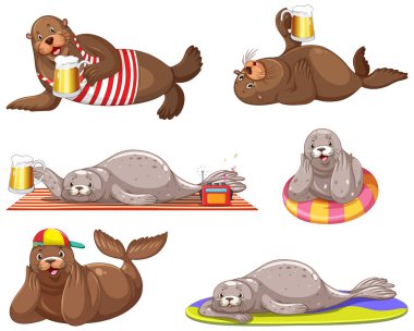 Set of different sea lions cartoon characters illustration
