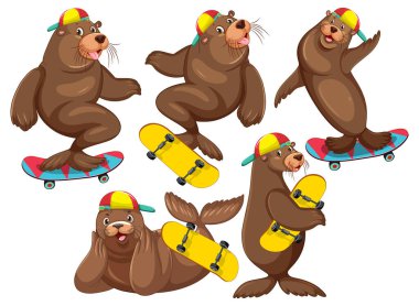 Set of different sea lions cartoon characters illustration