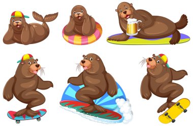 Set of different sea lions cartoon characters illustration