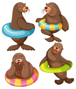 Set of different sea lions cartoon characters illustration