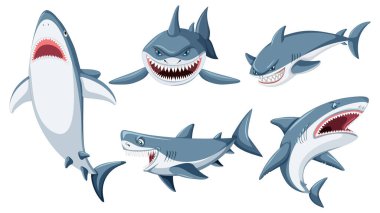 Set of shark cartoon character illustration