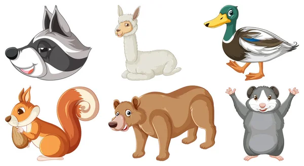 Set Various Animals Cartoon Characters Illustration — Vetor de Stock