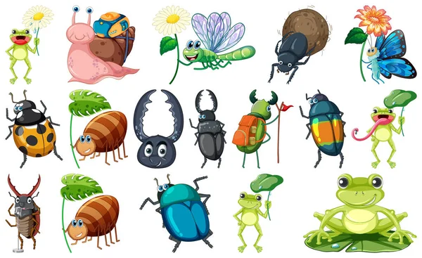 Set Various Insects Amphibians Cartoon Illustration — Stok Vektör