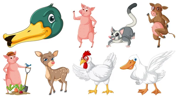 Set Various Animals Cartoon Characters Illustration — Vector de stock