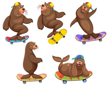 Set of different sea lions cartoon characters illustration