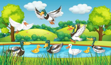 Outdoor scene with cartoon ducks illustration
