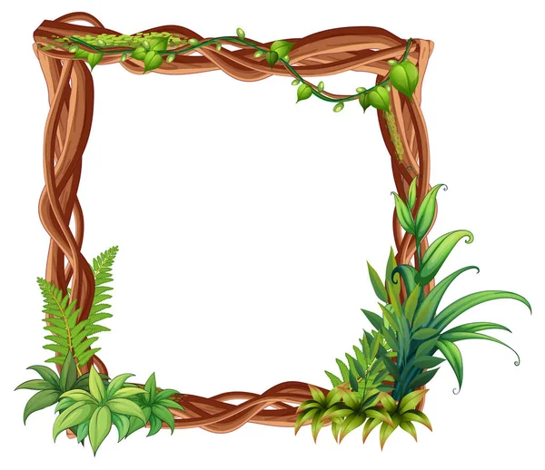 Frame Liana Branches Leaves Illustration — Image vectorielle