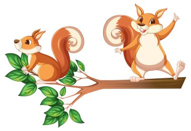 Ağaç dalında sincaplar