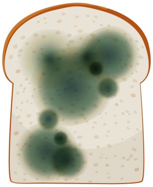 Küf resimli bir parça ekmek.