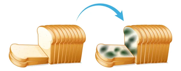 Βρώσιμο Ψωμί Απεικόνιση Καλουπιού — Διανυσματικό Αρχείο
