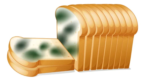 ขนมป นได อมภาพประกอบแม — ภาพเวกเตอร์สต็อก