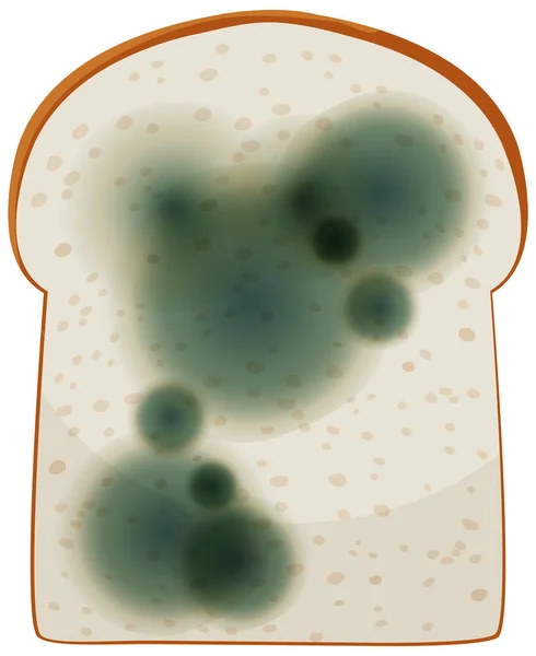 Een Stuk Brood Met Schimmel Illustratie — Stockvector